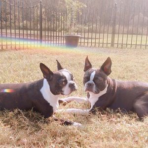 Meet your Posher, Mimi